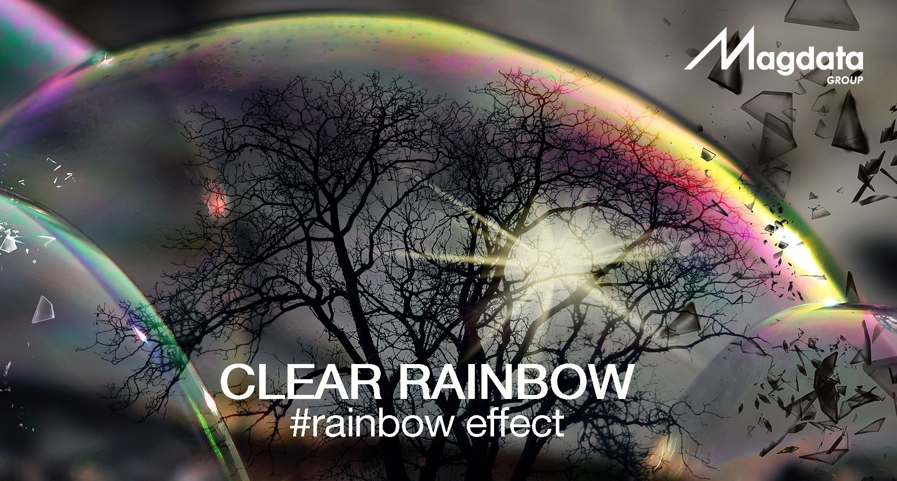 NEW CLEAR RAINBOW, a film that catches the eye...